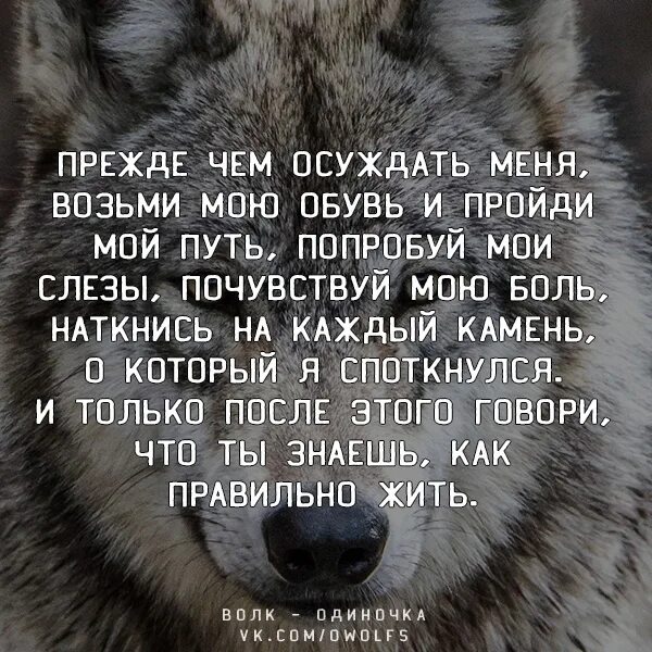 Однажды я на своей шкуре испытал насколько. Прежде чем осуждать. Прежде чем осуждать меня. Прежде чем осуждать человека. Прежде чем осуждать кого-то.