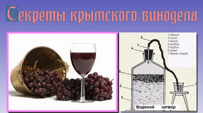 Процесс приготовления домашнего вина. Изготовление вина. Процесс приготовления вина из винограда. Виноградное вино в домашних.