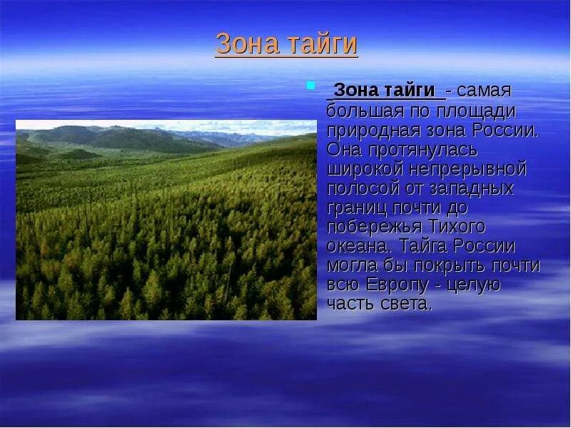 Самая крупная по площади природная зона. Зона тайги в России. Тайга природная зона. Самая крупная природная зона России. Зона тайги - самая большая.