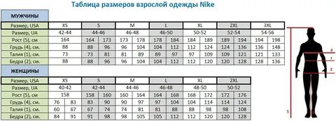 Xs рост