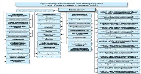 Организация структуры учреждения здравоохранения