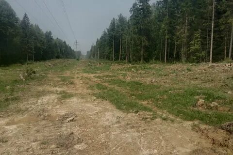 Что такое просека
