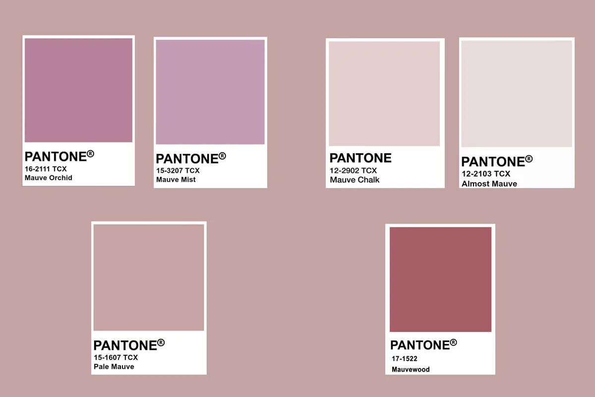 Mauve цвет. Маув цвет. mauve. цвет mauve это какой. mauve теплый или холодный цвет.