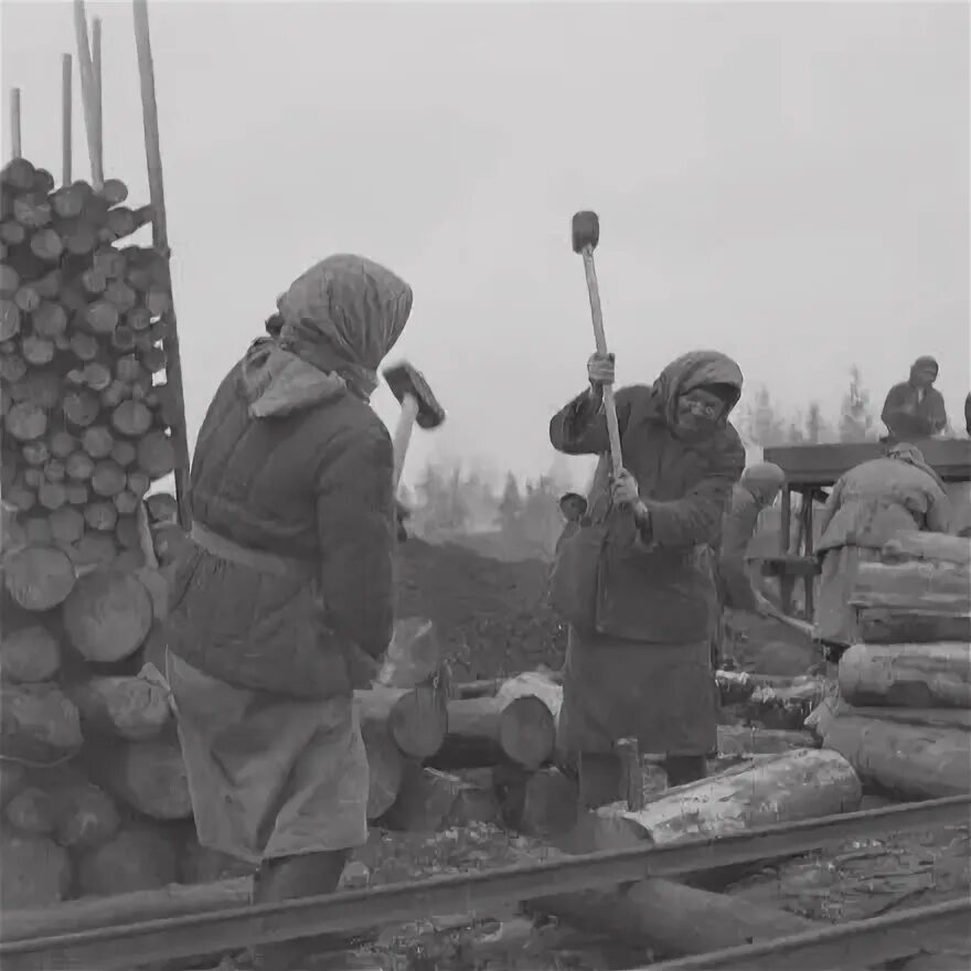 Ладва, финская оккупация. Ладва Карелия в финскую оккупацию. Финский военный фотоархив Кондопога. Кондопога Жемчужина Карелии.