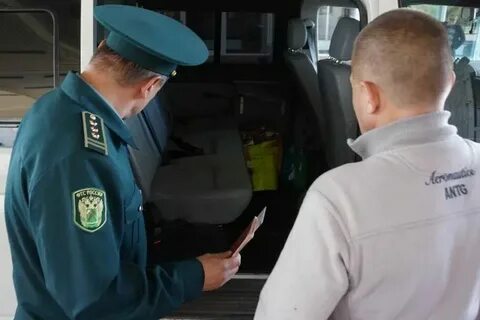 Таможенный досмотр транспортного средства