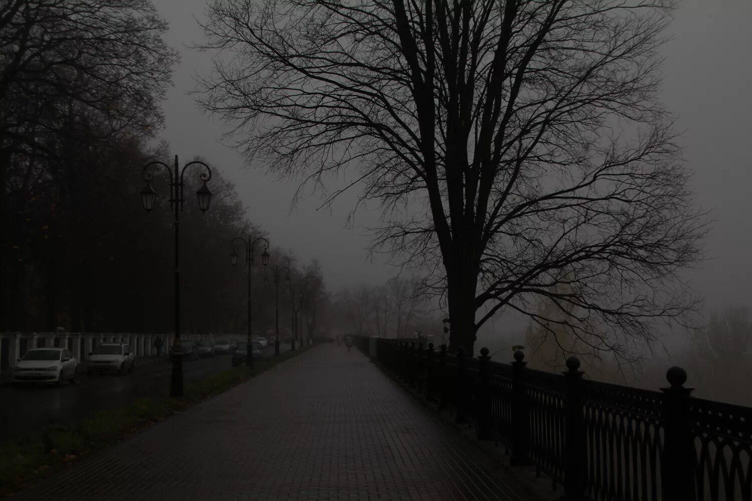 Обычный серый день. Обычный серый день. Обычный серый день. Четкие фотографии черно белые. Туман тайна.