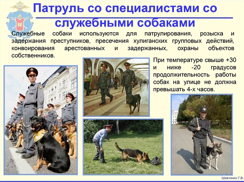 Кинолог. Кинолог для дошкольников. Кинолог презентация. Оказание первой помощи служебным собакам. Набор кинолога.