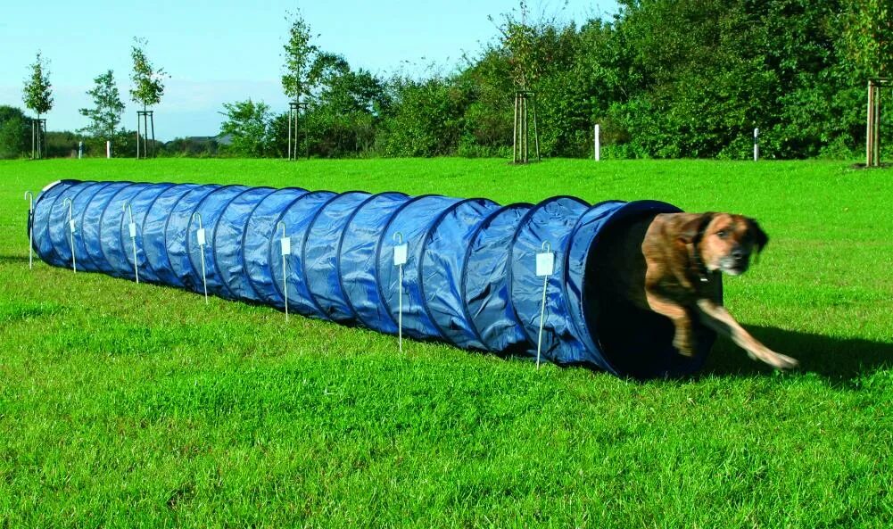 Предметы для дрессировки кошек. Тоннель для собак Trixie Agility Sack tunnel 500х60х60 см. Аджилити Trixie. Туннель для собак аджилити. Тоннель для аджилити.