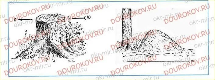 Природные признаки сторон горизонта рисунки 2 класс