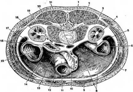 3400451d01 great wall тяга рулевая средняя, поперечная 4/2 gw deer 11-3003020. Поперечная 11. Поперечная 11. Поперечная 11. 3400451-d01.