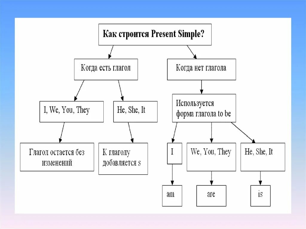 Present p simple. Настоящее простое время в английском языке схема. Презент Симпл в английском схема. Как строится предложение в английском present simple. Схема строения present simple.