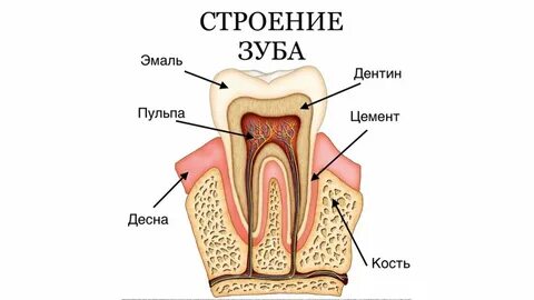 Көліктегі мас қыздардың порносы