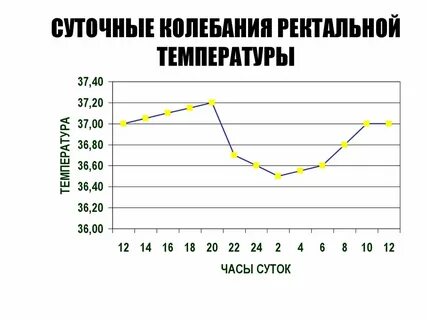 График температуры человека