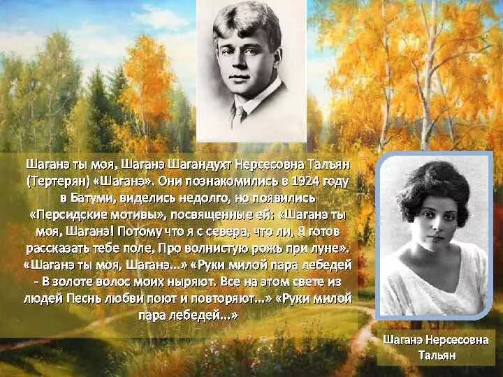 Шираз Есенин Шаганэ. Шаганэ Нерсесовна тальян. Я готов рассказать тебе поле про волнистую