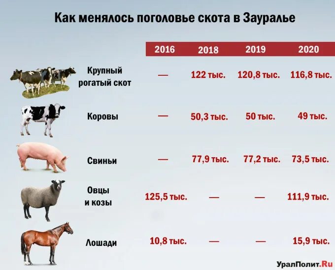 Поголовье крупного рогатого скота в мире в 2020 году. Поголовье КРС В России. Поголовье крупного рогатого скота в России по годам. Поголовье скота в России.