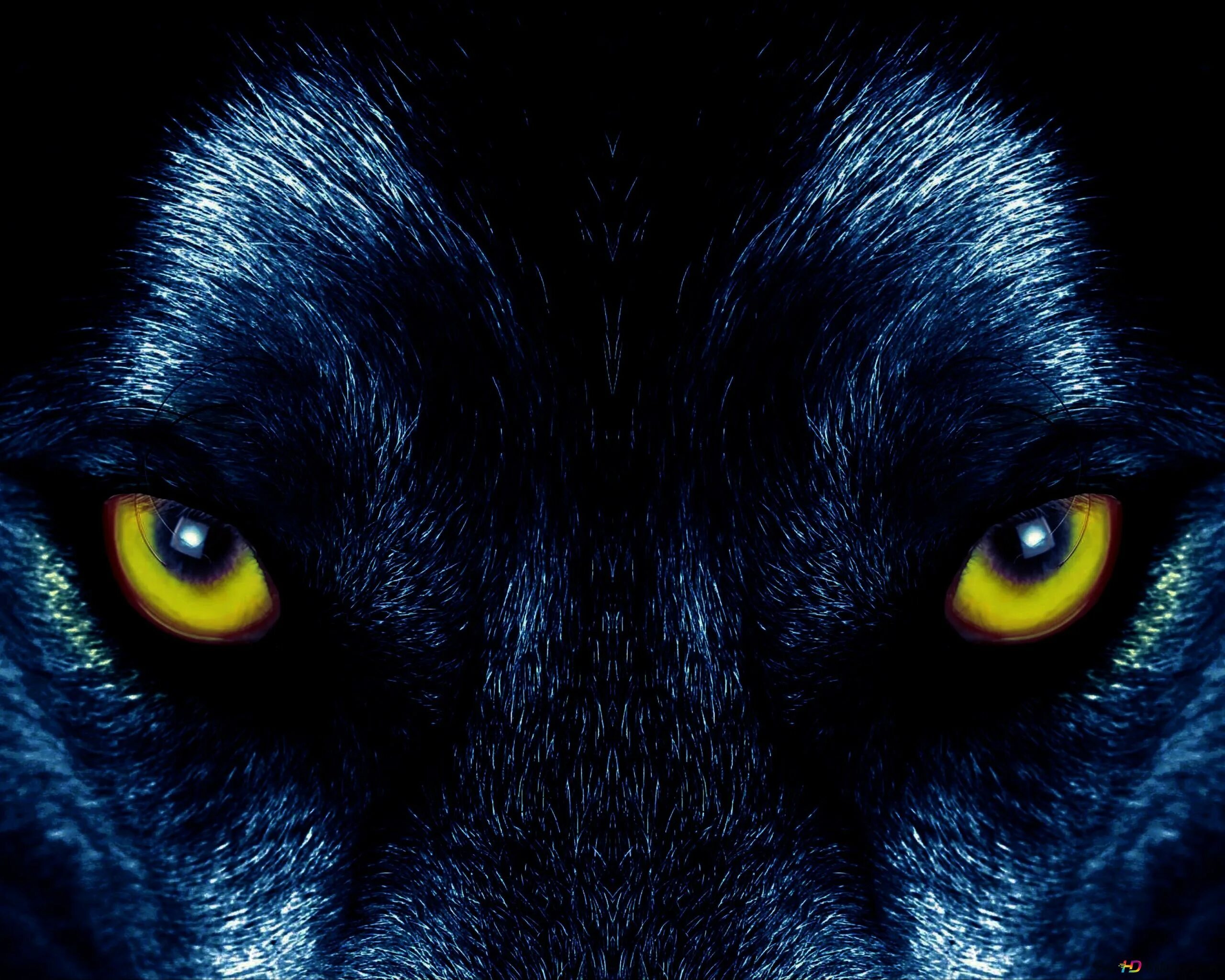 Волк светятся глаза. Глаз волка. Страшный взгляд волка. Глаза волка в ночи. Волчий взгляд.