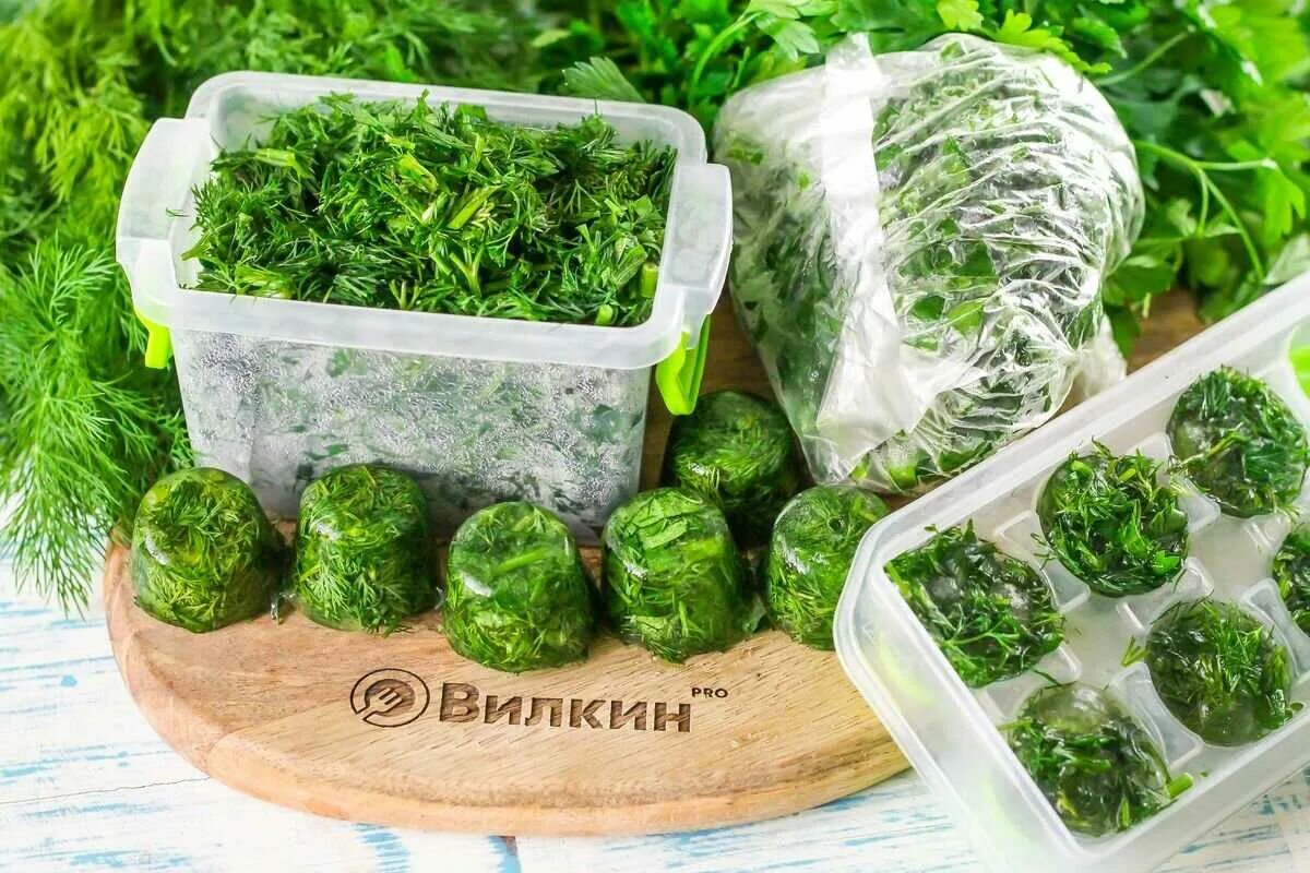 Замороженные огурцы. Как заморозить на зиму свежими. Заморозка зелени. Как заморозить на зиму свежими. Заморозка огурцов на зиму в морозилке.