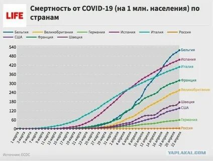 Сколько людей ковид