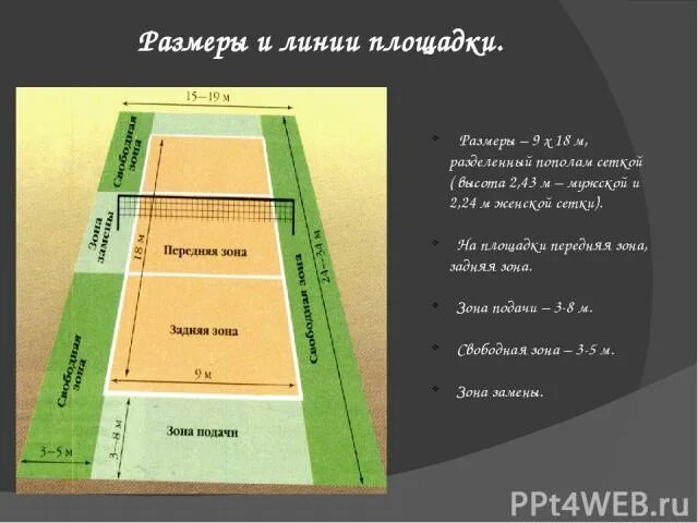 Высота женской волейбольной сетки. Высота сетки в волейболе для женщин. Волейбольная сетка Размеры. Высота сетки в волейболе для школьников. Сколько высотой волейбольная сетка