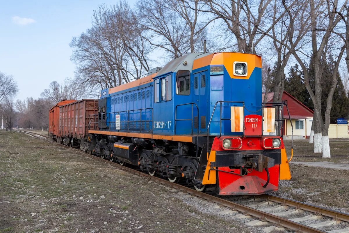 Тэм 2ум тепловоз. Тэм2 railgallery. тэм2 ппжт. ппжт тэм2ум. тепловоз тэм2 угмк.