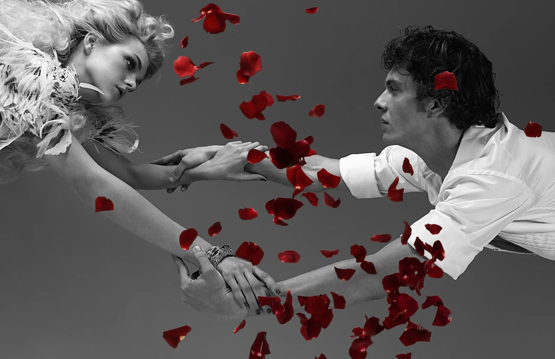 Пара расставание. Растоптанный цветок. Разбитые отношения. Отношения в семье. Силуэт пары в полете.