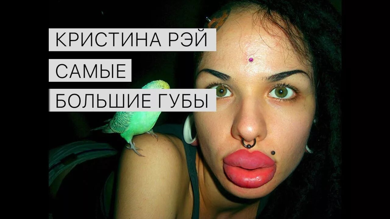 Какие самые большие губы. Самые большие губы в мире. самые крошечные губы в мире.