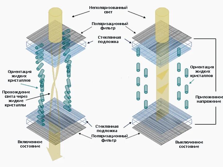 Принцип работы жк. Принцип действия жидкокристаллического монитора. Принцип действия LCD мониторов. ЖК (LCD) - жидкокристаллические мониторы (Liquid Crystal display).. Жидкокристаллический монитор принцип работы.