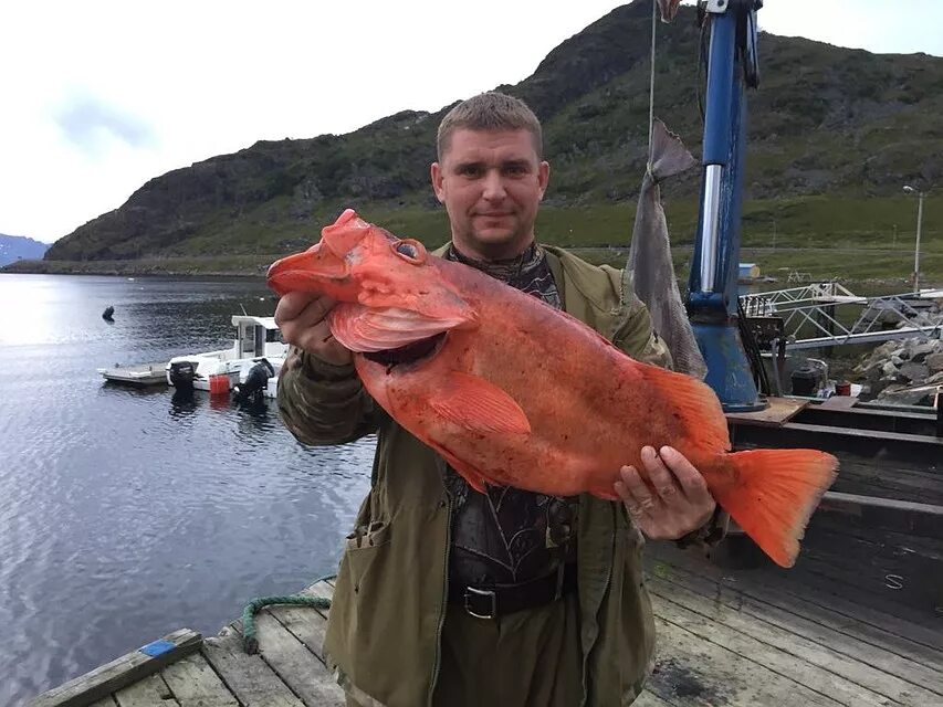 Рыба в челябинских озерах