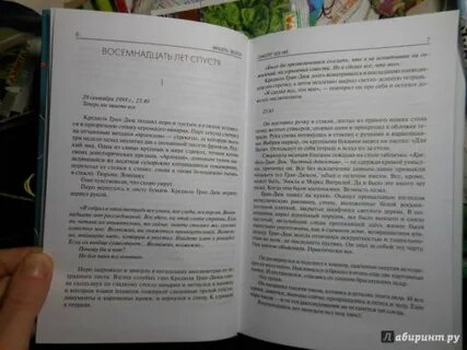 Самолет без нее читать