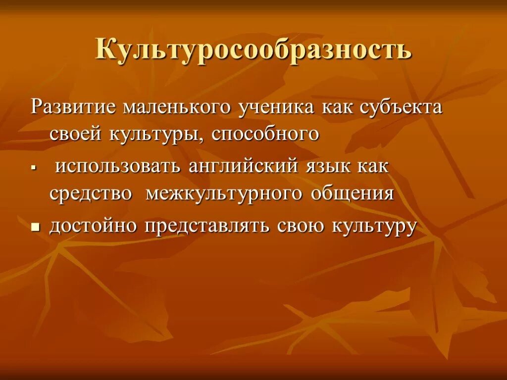 Принцип культуросообразности. Принцип культуросообразности образования. Принцип культуросообразности в педагогике. Культуросообразность это в педагогике.