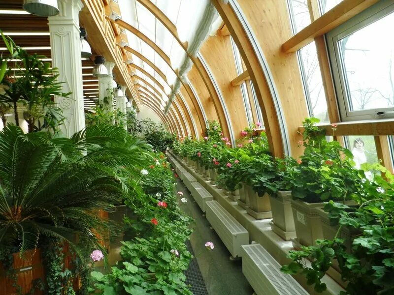 оранжерейный корпус царицыно. музей царицыно оранжереи. виноградная оранжерея в царицыно. музей царицыно оранжерейный комплекс. царицыно музей-заповедник оранжерейный комплекс.