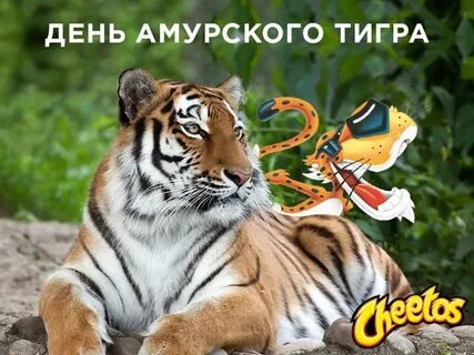 Мой братан тигр