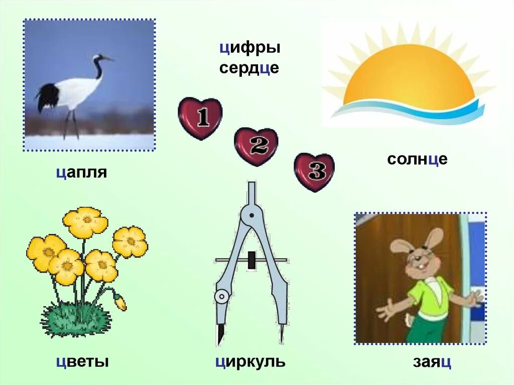 Именно ц