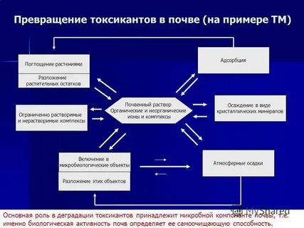 Токсикант