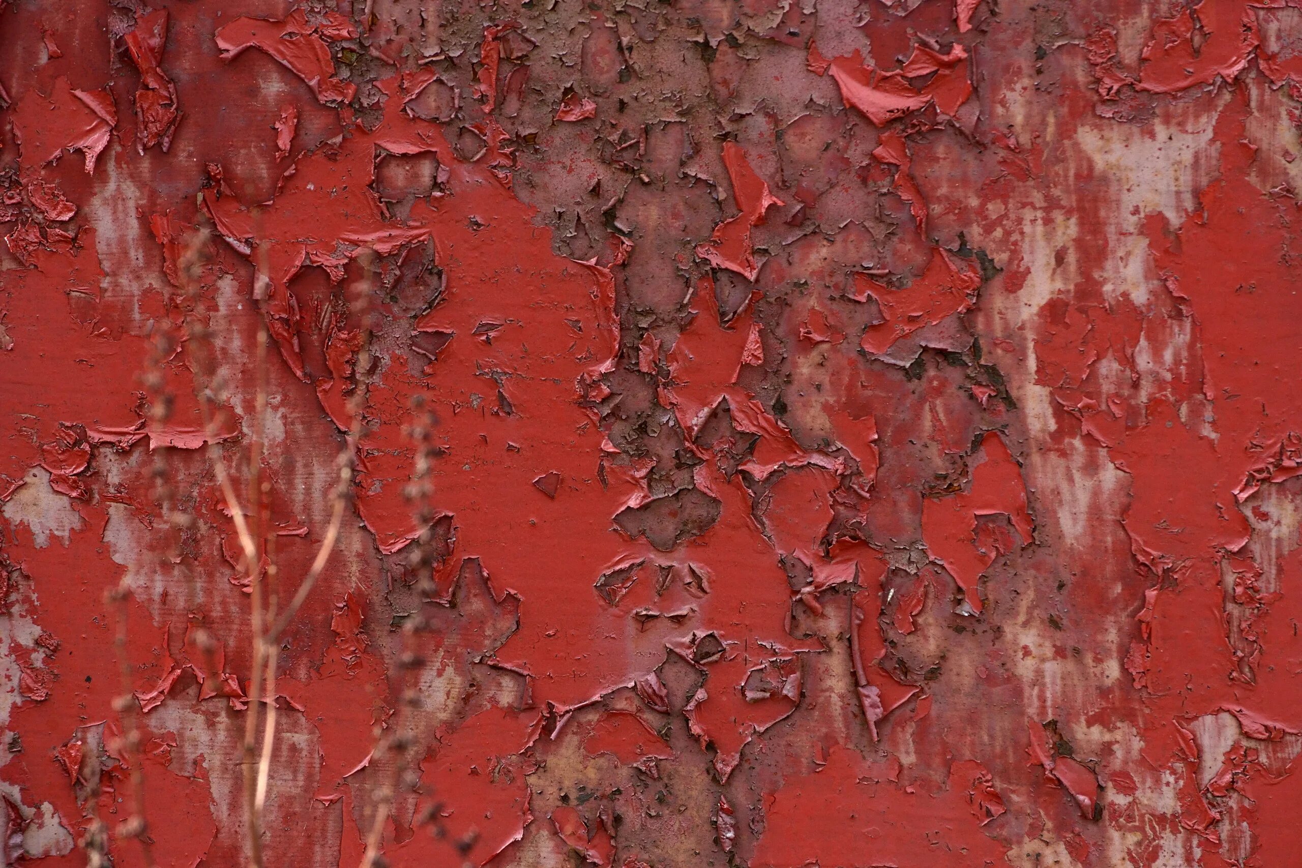 Красноватая краска из одноименного дерева. Старая краска. Облупившаяся краска на стене. Фактура металла. Ободранная краска.