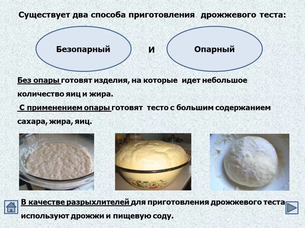 Опарный способ приготовления дрожжевого теста. Приготовление изделий из дрожжевого безопарного теста. Опарное и безопарное тесто. Дрожжевое тесто опарное и безопарное. Методика использования теста