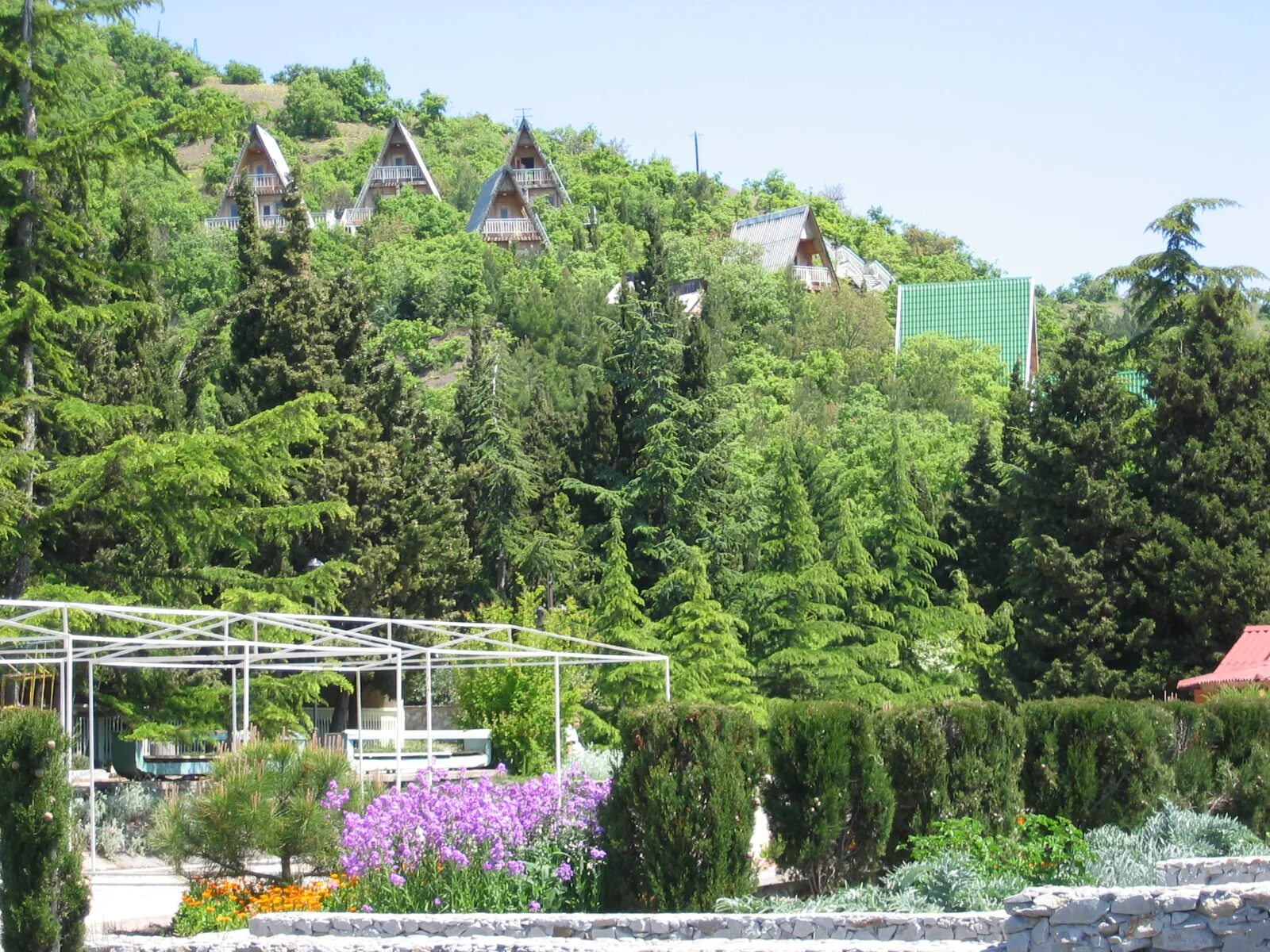 Пансионат алые паруса. Алые паруса Алушта. Алые паруса Сатера. Алые паруса Крым Алушта.