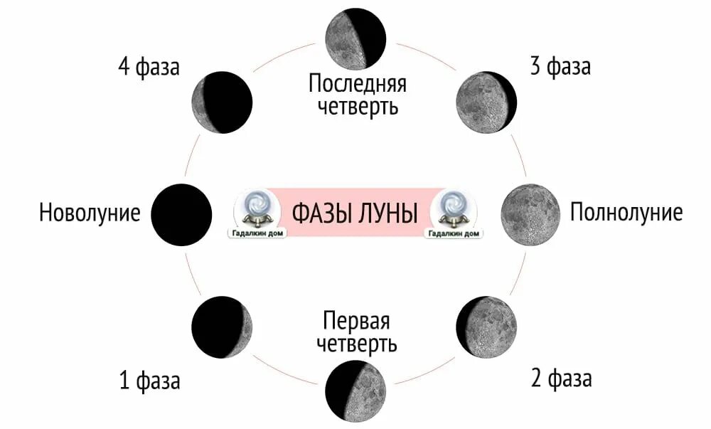 Сколько надо луны. Что такое фазы Луны нарисуйте схему. Виды Луны и названия фазы Луны таблица. Фаза последней четверти Луны рисунок. Фазы Луны схема фаз.