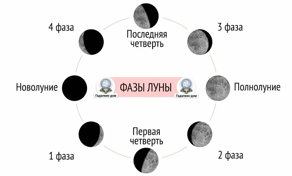 Фаза луны когда возмущающее ускорение будет максимальным. Фазы луны схема фаз. фазы луны в картинках 4 фазы. что такое фазы луны нарисуйте схему. фаза последней четверти луны рисунок.