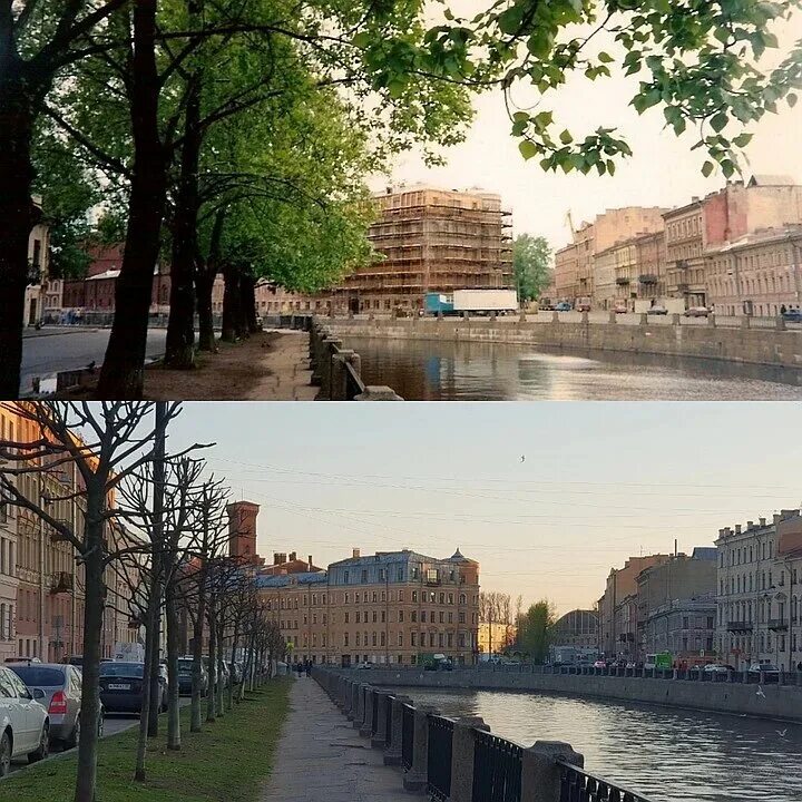 Уход спб. Стрелка васильевского острова вид сверху. Стрелка васильевского острова санкт-петербург. Тополя на канале грибоедова. Уход спб.