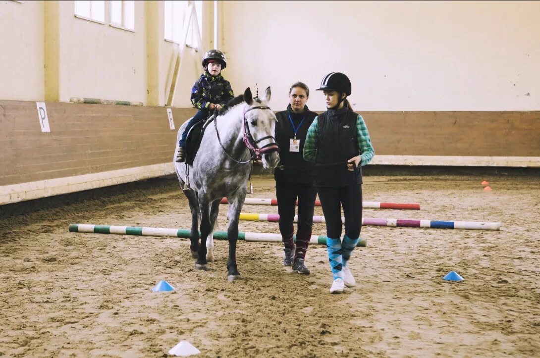 Конная школа олимпийского резерва. Паралимпийский конный спорт. Конный спорт для инвалидов. Лошадь инвалид. Конный спорт среди инвалидов.