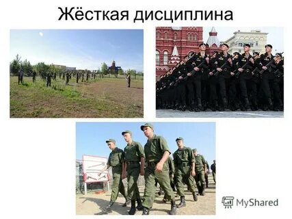 Жесткая дисциплина