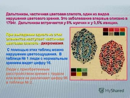 Причина дальтонизма у человека