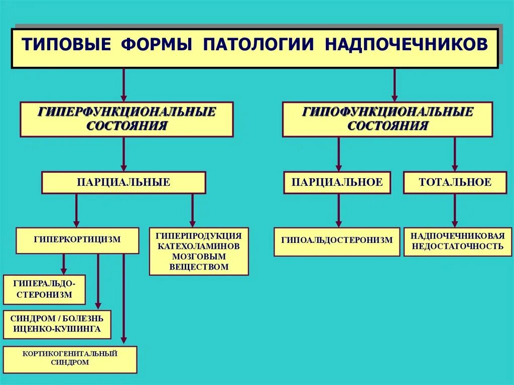 Гиперфункция надпочечников патогенез. Классификация надпочечниковой недостаточности схема. Типовые формы нарушения надпочечников. Типовые формы патологии аденогипофиза. Виды патологического состояния