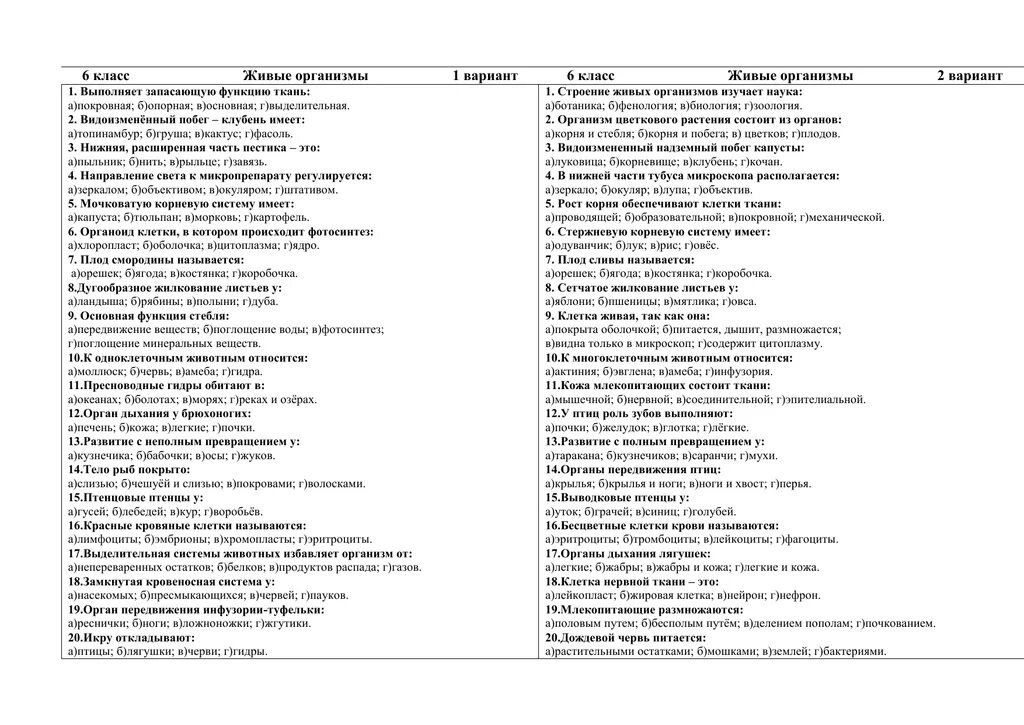 Контрольный срез вариант 1. Контрольный срез. Контрольный срез по биологии это. Контрольные срезы 3 класс. Контрольный срез по биологии 6 класс.