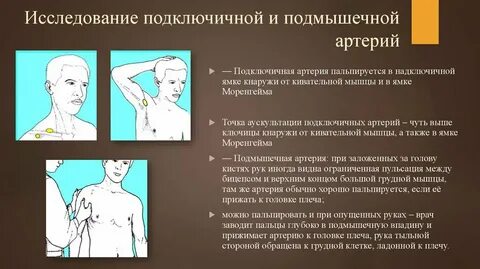 Подмышечную впадину человека