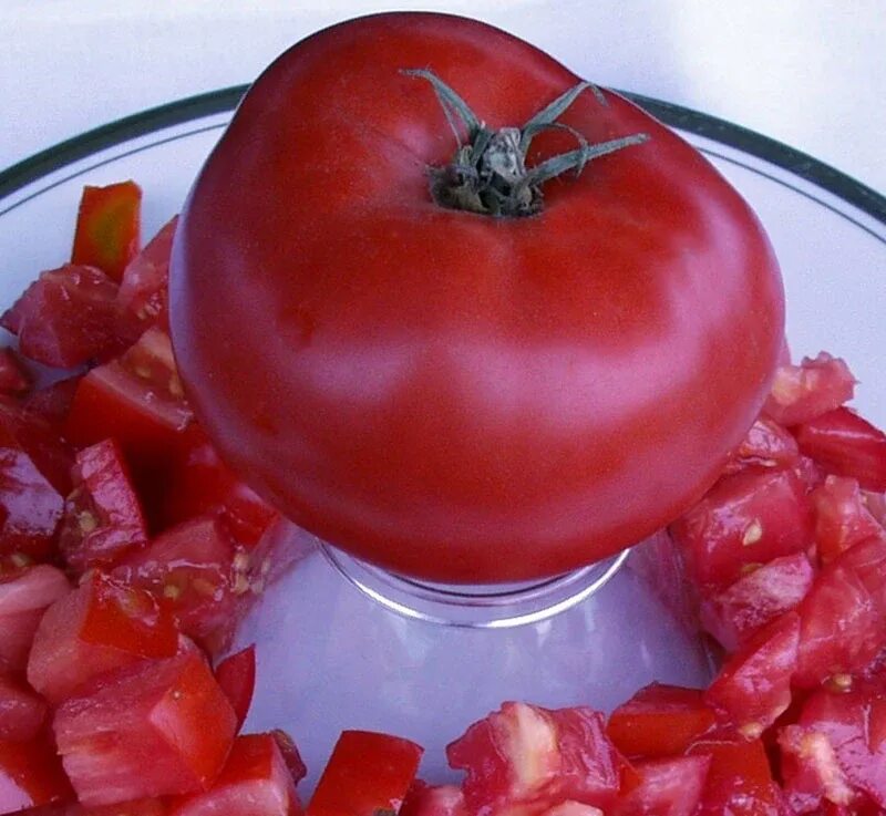 Tomato red. Томат Брендивайн красный. Томат Брендивайн красный 10. Томат Примо ред. Томат красная шапочка.