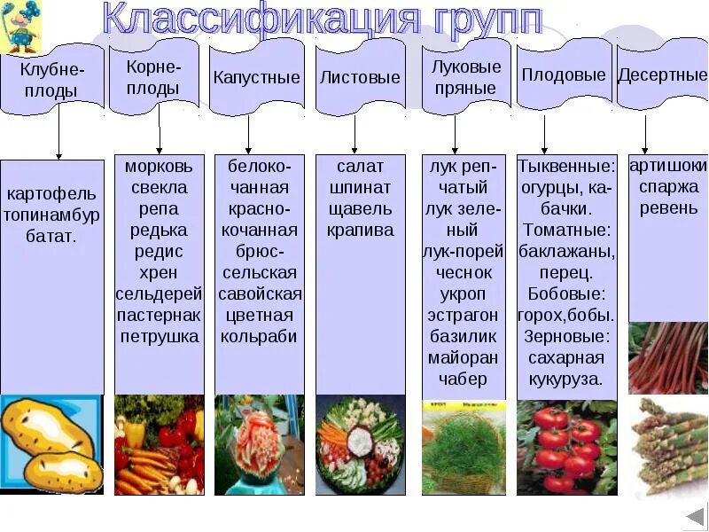 Схема классификации овощей таблица корнеплоды. Схема классификации свежих овощей. Семейства овощных культур таблица. Плодовые овощи классификация. Список овощных растений