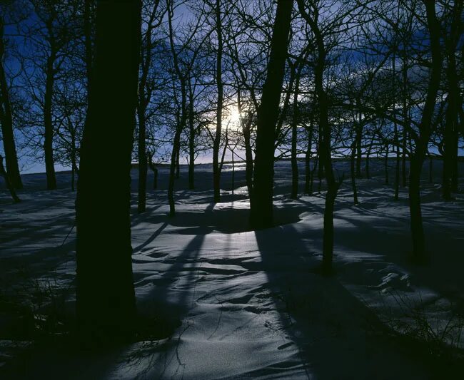 Winter shadows. Winter shadows