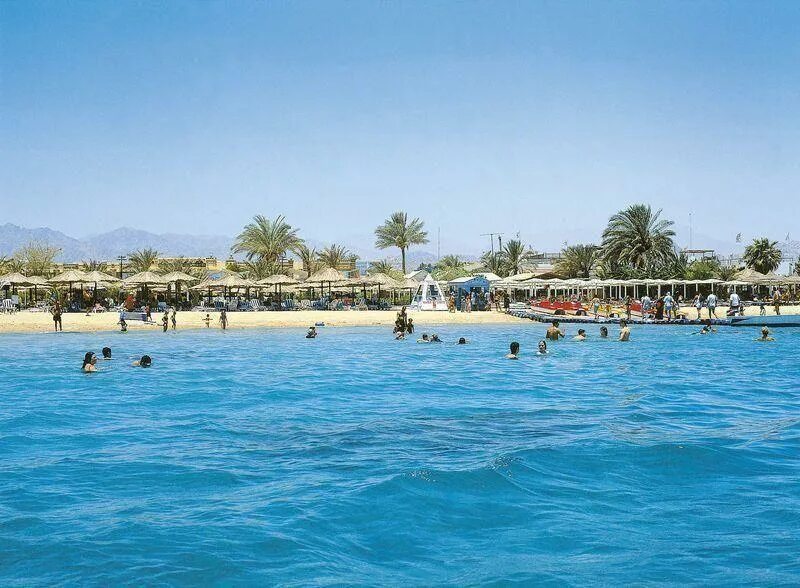 Naama bay 5 египет шарм эль шейх. Тропитель шарм-эль-шейх. тропитель шарм-эль-шейх 5. hotel naama bay 5, шарм-эль-шейх, египет.